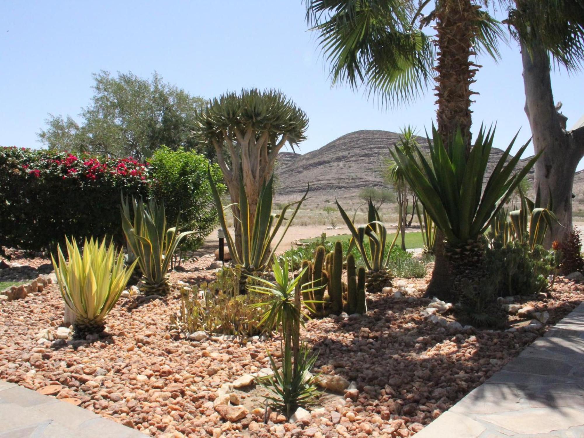 Rooisand Desert Ranch Chausib Room photo
